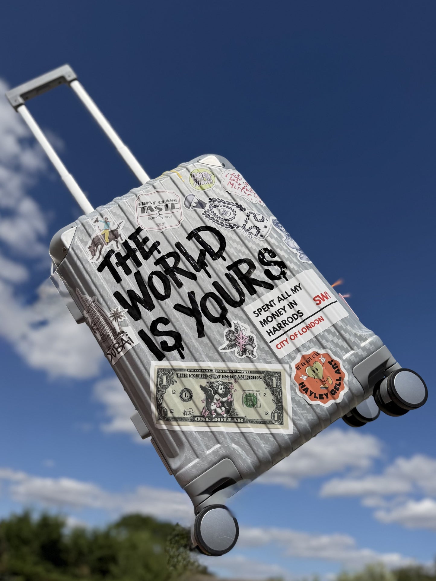 'The World is Yours'